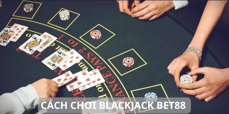 Luật chơi và tùy chọn thuộc blackjack 