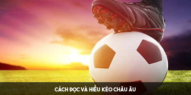 Cách đọc và tính toán tỷ lệ cược châu Âu