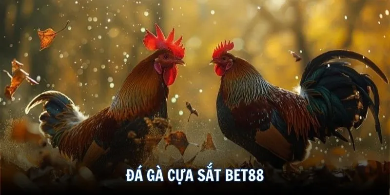 đá gà cựa sắt