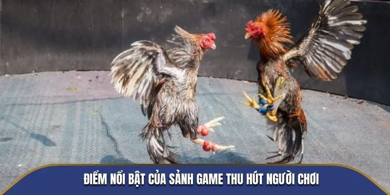 Điểm nổi bật của sảnh game thu hút người chơi