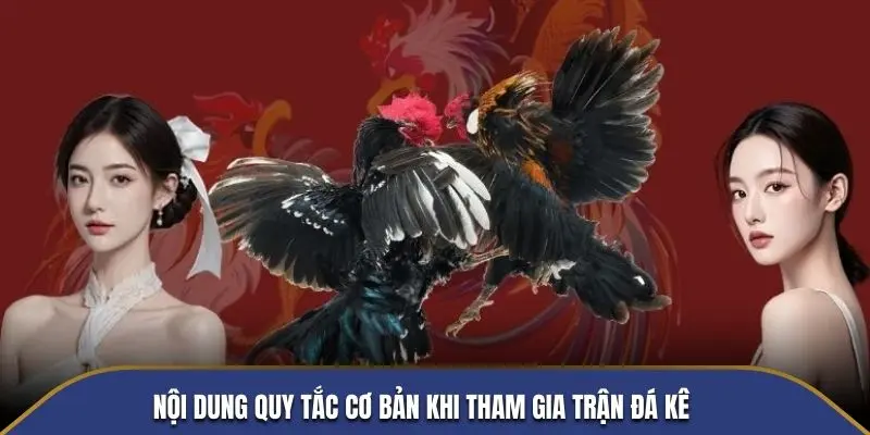 Nội dung quy tắc cơ bản khi tham gia trận đá kê