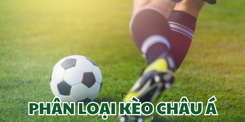Phân loại kèo châu Á cực dễ hiểu
