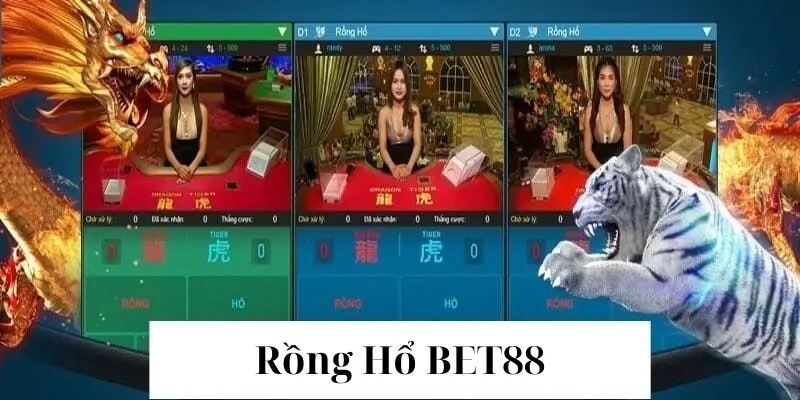 Người chơi nên nắm chắc các cụm từ cơ bản trong Rồng Hổ Bet88